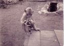 Filename=JC12.jpg
Filesize=20KiB
Dimensions=432x312
Date added=Oct 13, 2013 JC12.jpg